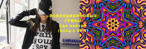 дмт Костерёво