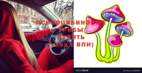 скорость Козловка