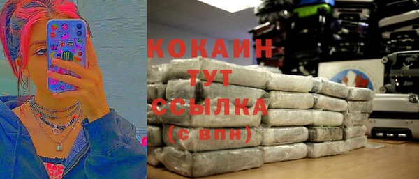 дмт Костерёво