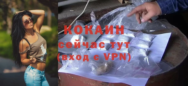 дмт Костерёво