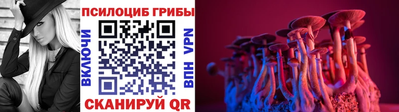 Галлюциногенные грибы мицелий  Кораблино 